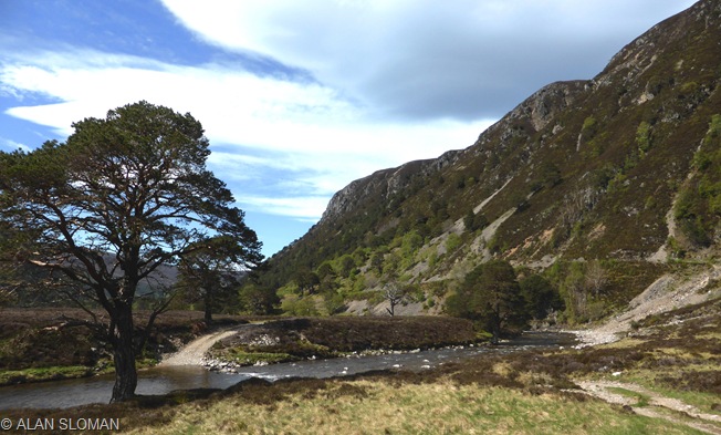 GLEN FESHIE