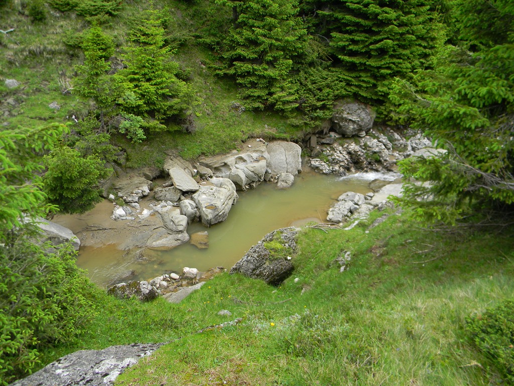 [DSCN20313.jpg]
