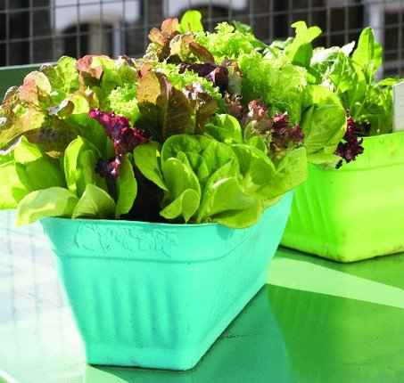 [image%255B2%255D.png]