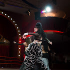 IMG_7232.jpg