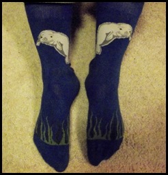 Manatee sox 002