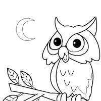 BUHOS DIBUJOS PARA PINTAR