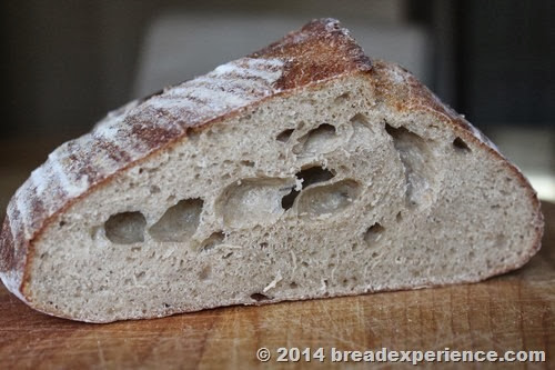 Crumb Shot of Bread with Sprouted Wheat Flour