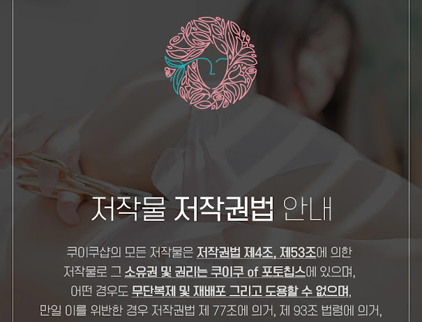 PhotoChips Vol.79 No.2 Sia (시아)