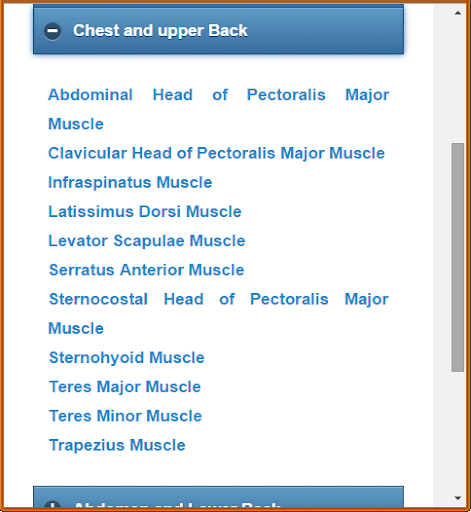 免費下載教育APP|Muscular System(Anatomy) app開箱文|APP開箱王