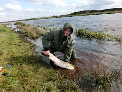 Skjern Au _ Oktober 2012 - 033