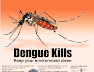 Aedes: Killers On The Loose!