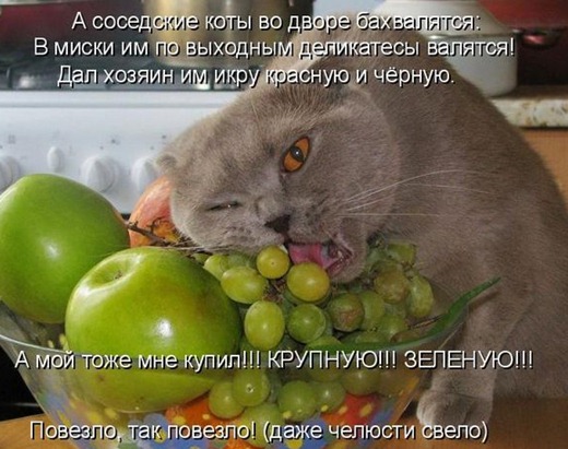 [kotomatrix_068%255B3%255D.jpg]