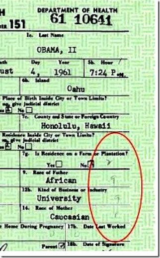 Hand written codes on Obama birth document