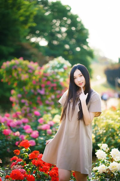 Bambi (밤비) Lacerta Photography