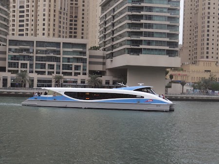  Cruise in Dubai