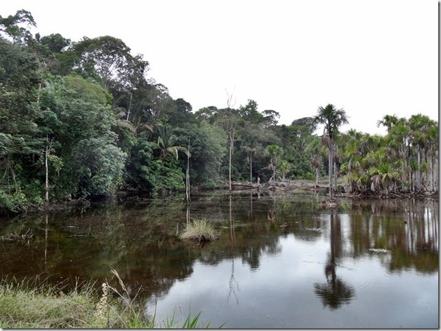 BR-319_Humaita_Manaus_Day_1_DSC05142 BR-319_Humaita_Manaus_Day_1_DSC05142