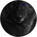 LONE WOLFs profile picture