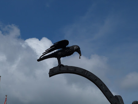 Obiective turistice Budapesta: corbul, simbolul Corvinestilor