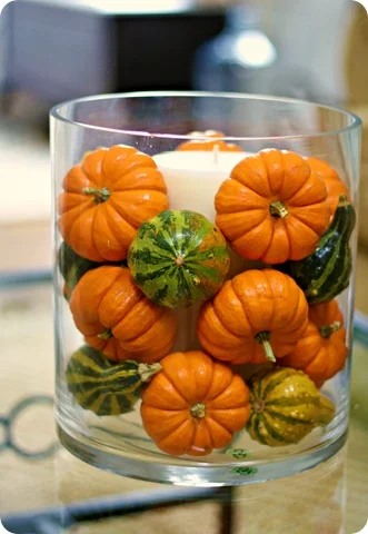 How to decorate with mini pumpkins Thrifty Decor Chick Thrifty