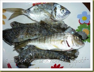 Pesce fritto e patate (3)