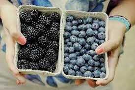 [blueberries_blackberries%255B3%255D.jpg]