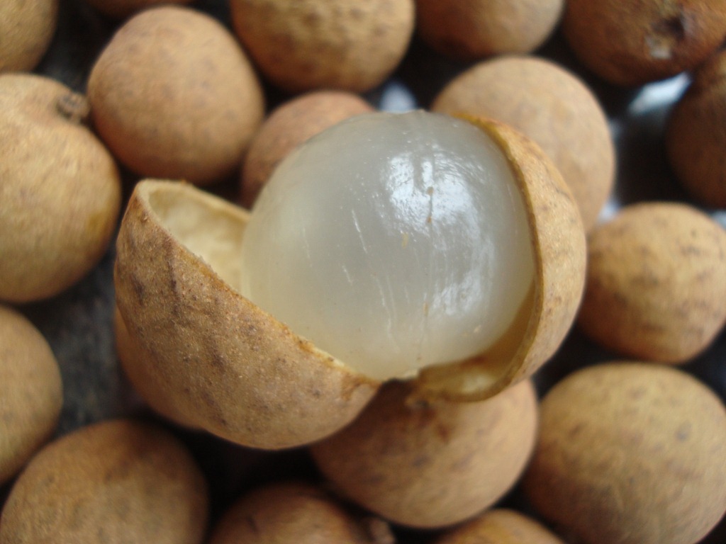 [Longan%2520%25288%2529%255B4%255D.jpg]