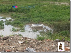 Bolg Gazeta de Espinho008 Livro MCS