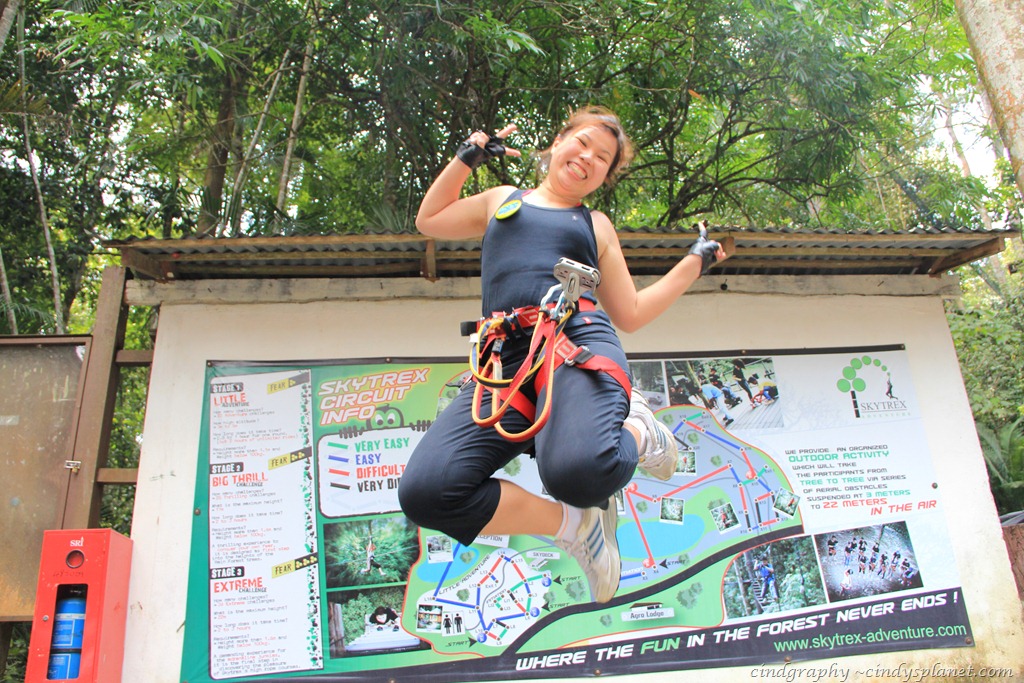 [SkyTrex704.jpg.webp]