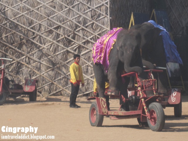 [Pattaya%2520%25283%2529%255B2%255D.jpg.webp]