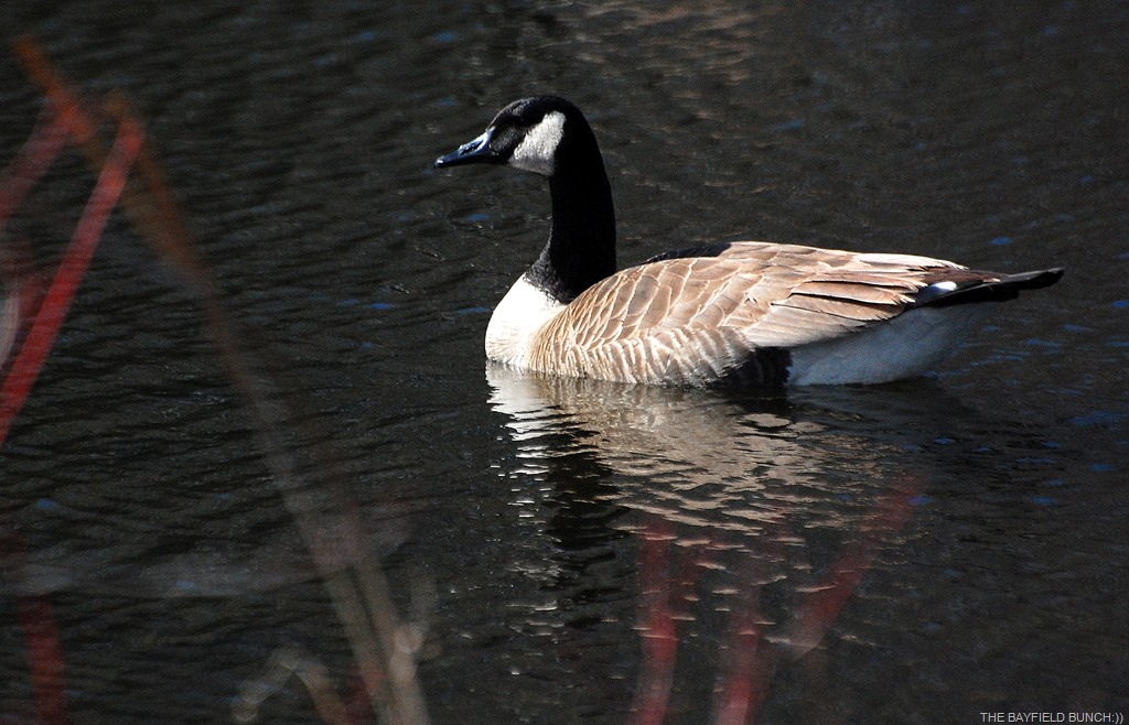 [DSC_3892%255B4%255D.jpg]