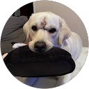 Image Google de Jessica Lebel