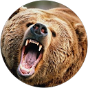Grizzly Countrys profile picture