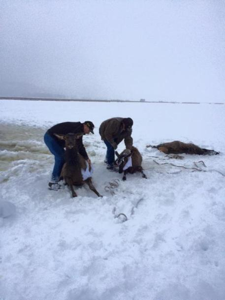 [image%255B7%255D.png]