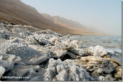 Dead Sea shoreline with salt crystals, tb022806387
