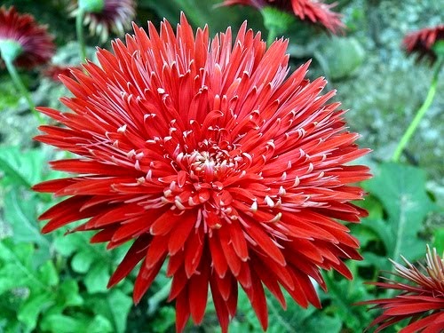 [clip_image001%255B3%255D.jpg]