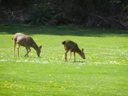 DSCN0376.jpg DSCN0376