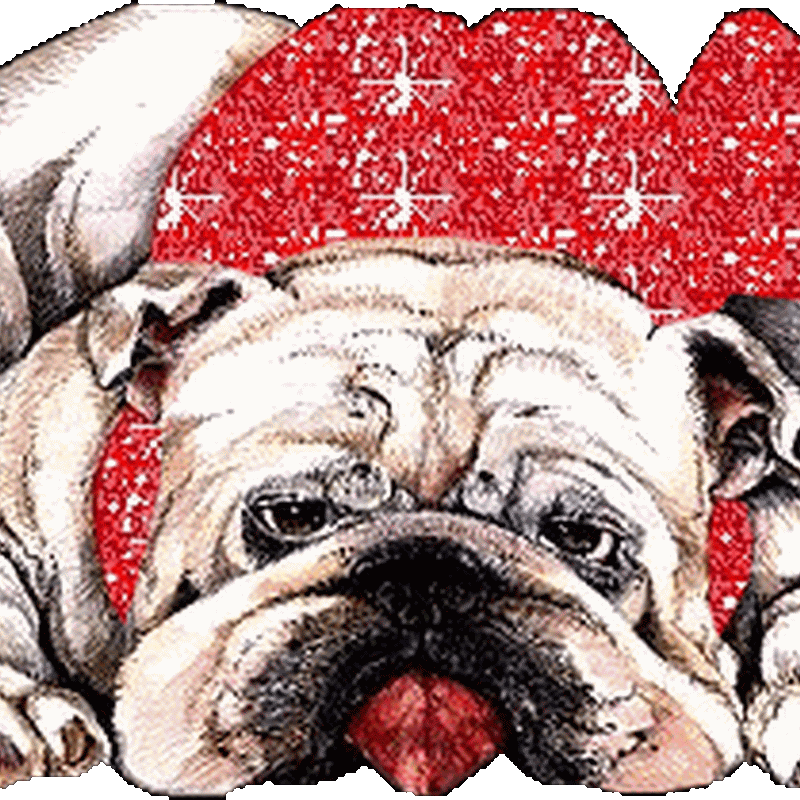 Perros y cachorros. gifs con brillos