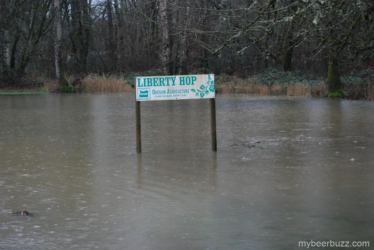 [image%255B12%255D.png]