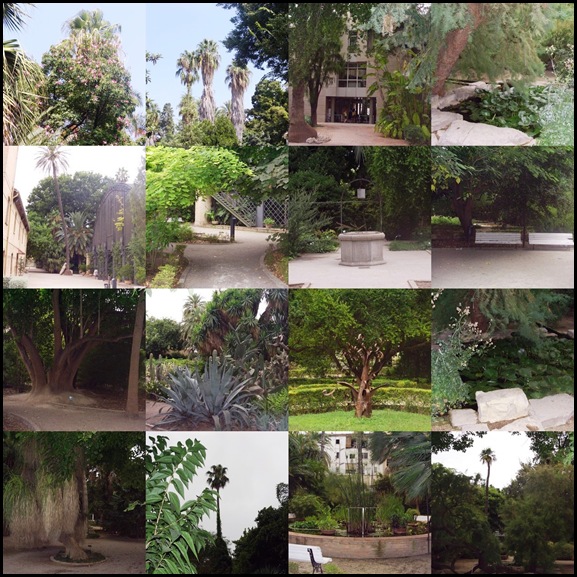 52 - El Jardin botanico