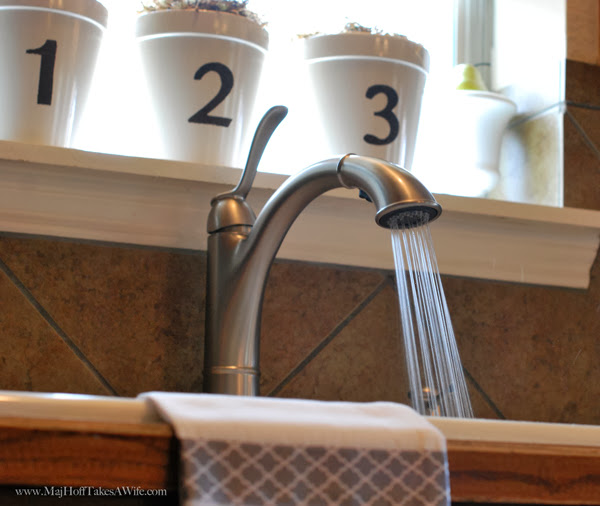 Walden Faucet Aerated Stream