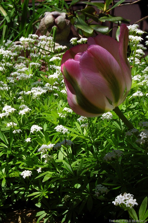 [DSC_0053%255B4%255D.jpg]