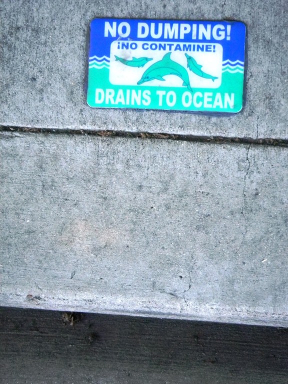 [DSCN5585%2520-%2520Kopie%255B4%255D.jpg]