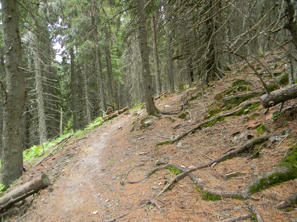 [DSCN48113.jpg]