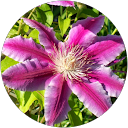 LINDA NAVARRE profile picture