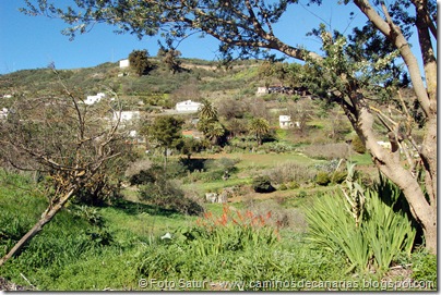 4904 Las Lagunetas-Los Arbejales 4904 Las Lagunetas-Los Arbejales
