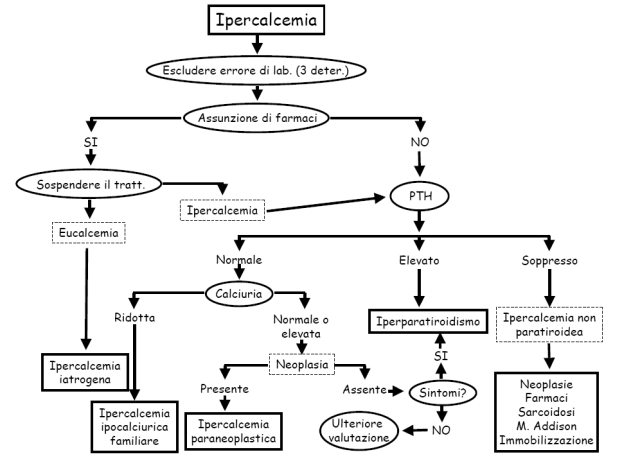 [ipercalcemia%255B2%255D.gif]