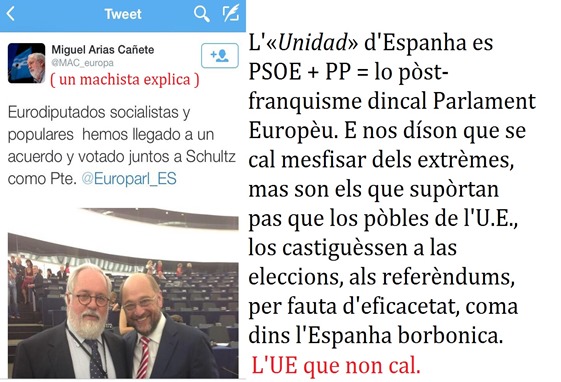 Unitat d'Espanha al Parlament Europèu