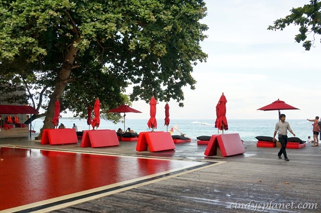 [The%2520Library%2520Koh%2520Samui8%255B2%255D.jpg.webp]