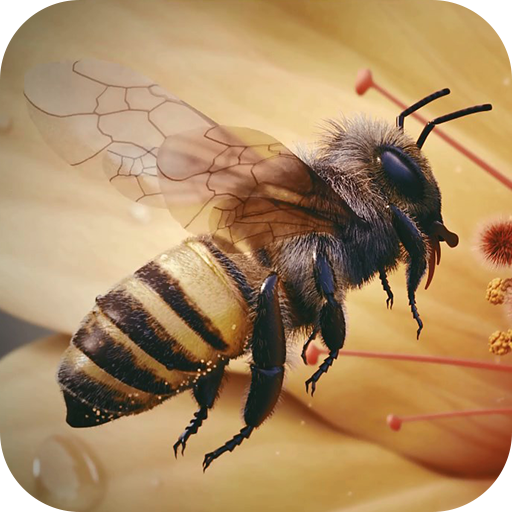 Plan bee. Bee-04r.