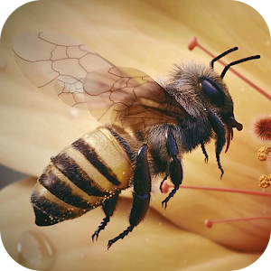 Download Apis Bee 4D Live Wallpaper for PC