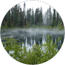 Jenny Zs profile picture