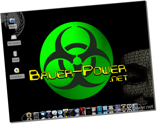 www.Bauer-Power.net