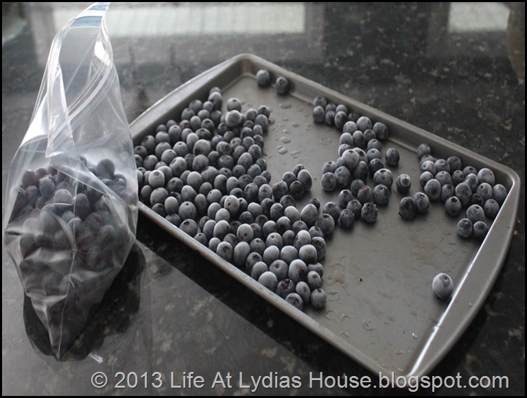 freezing blueberries