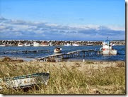 IMG_8355 IMG_8355